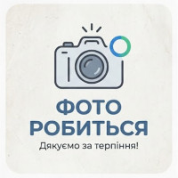 Затиральна машина GTM GRT36 бензинова двороторна (GRT36)